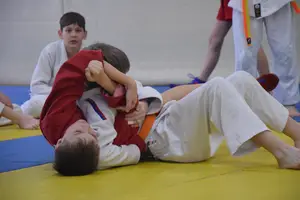 Первенство "Упрощенное дзюдо и самбо» 2013 г.р.