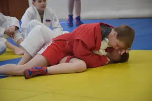 Первенство "Упрощенное дзюдо и самбо» 2013 г.р.