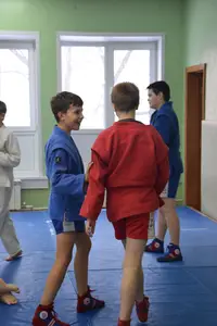 Первенство "Упрощенное дзюдо и самбо» 2013 г.р.