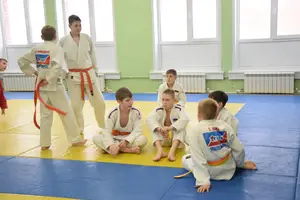 Первенство "Упрощенное дзюдо и самбо» 2013 г.р.