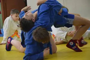 Первенство "Упрощенное дзюдо и самбо» 2013 г.р.