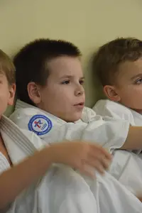 Первенство "Упрощенное дзюдо и самбо» 2015 г.р.