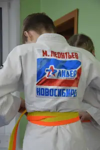 Первенство "Упрощенное дзюдо и самбо» 2015 г.р.