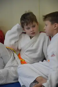 Первенство "Упрощенное дзюдо и самбо» 2015 г.р.