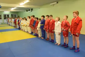 Первенство "Упрощенное дзюдо и самбо» 2015 г.р.