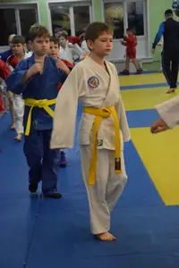Первенство "Упрощенное дзюдо и самбо» 2015 г.р.