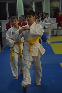 Первенство "Упрощенное дзюдо и самбо» 2015 г.р.