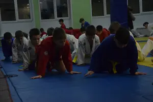 Первенство "Упрощенное дзюдо и самбо» 2015 г.р.