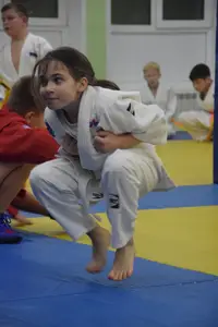 Первенство "Упрощенное дзюдо и самбо» 2015 г.р.