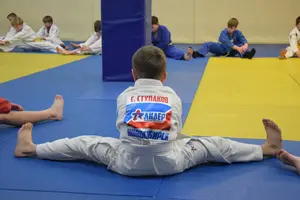 Первенство "Упрощенное дзюдо и самбо» 2015 г.р.