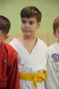 Первенство "Упрощенное дзюдо и самбо» 2015 г.р.