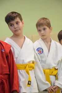 Первенство "Упрощенное дзюдо и самбо» 2015 г.р.