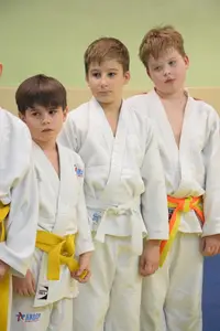 Первенство "Упрощенное дзюдо и самбо» 2015 г.р.