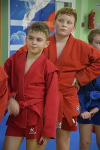 Первенство "Упрощенное дзюдо и самбо» 2015 г.р.