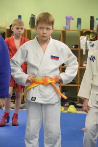 Первенство "Упрощенное дзюдо и самбо» 2015 г.р.