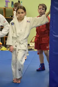 Первенство "Упрощенное дзюдо и самбо» 2015 г.р.