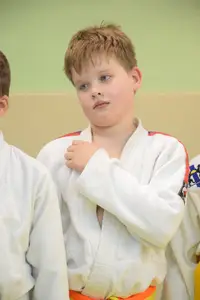 Первенство "Упрощенное дзюдо и самбо» 2015 г.р.