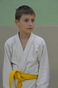 Первенство "Упрощенное дзюдо и самбо» 2015 г.р.