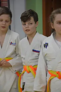 Первенство "Упрощенное дзюдо и самбо» 2015 г.р.