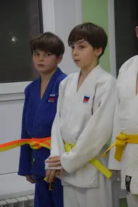 Первенство "Упрощенное дзюдо и самбо» 2015 г.р.