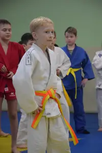 Первенство "Упрощенное дзюдо и самбо» 2015 г.р.