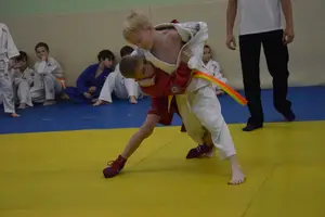 Первенство "Упрощенное дзюдо и самбо» 2015 г.р.