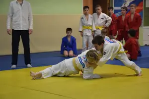 Первенство "Упрощенное дзюдо и самбо» 2015 г.р.