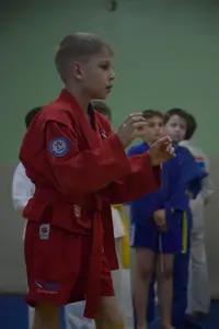 Первенство "Упрощенное дзюдо и самбо» 2015 г.р.