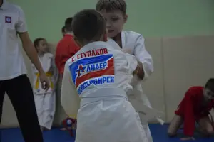 Первенство "Упрощенное дзюдо и самбо» 2015 г.р.