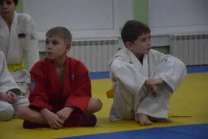 Первенство "Упрощенное дзюдо и самбо» 2015 г.р.