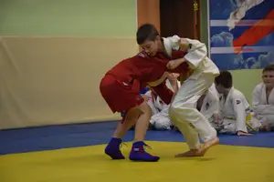 Первенство "Упрощенное дзюдо и самбо» 2015 г.р.