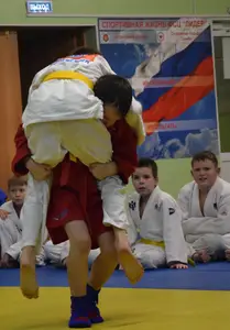 Первенство "Упрощенное дзюдо и самбо» 2015 г.р.