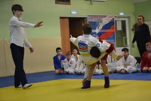 Первенство "Упрощенное дзюдо и самбо» 2015 г.р.