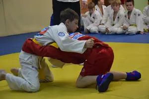 Первенство "Упрощенное дзюдо и самбо» 2015 г.р.