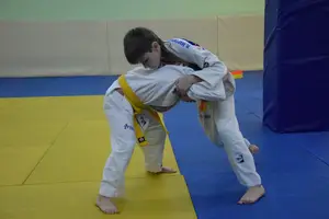 Первенство "Упрощенное дзюдо и самбо» 2015 г.р.