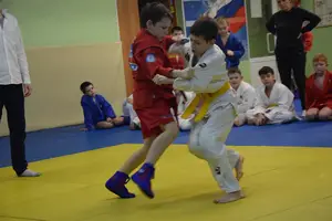 Первенство "Упрощенное дзюдо и самбо» 2015 г.р.