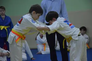 Первенство "Упрощенное дзюдо и самбо» 2015 г.р.