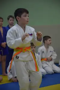 Первенство "Упрощенное дзюдо и самбо» 2015 г.р.