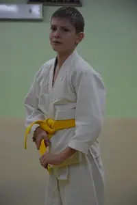 Первенство "Упрощенное дзюдо и самбо» 2015 г.р.