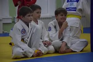 Первенство "Упрощенное дзюдо и самбо» 2015 г.р.