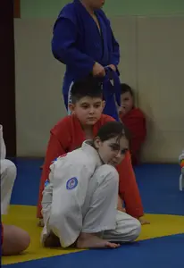 Первенство "Упрощенное дзюдо и самбо» 2015 г.р.