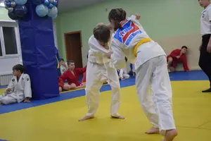 Первенство "Упрощенное дзюдо и самбо» 2015 г.р.