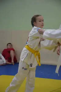 Первенство "Упрощенное дзюдо и самбо» 2015 г.р.