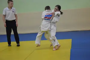 Первенство "Упрощенное дзюдо и самбо» 2015 г.р.