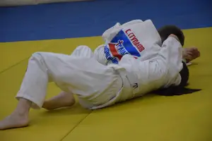 Первенство "Упрощенное дзюдо и самбо» 2015 г.р.