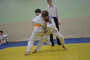 Первенство "Упрощенное дзюдо и самбо» 2015 г.р.