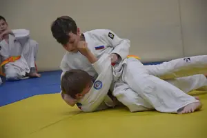 Первенство "Упрощенное дзюдо и самбо» 2015 г.р.