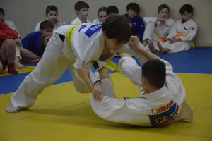 Первенство "Упрощенное дзюдо и самбо» 2015 г.р.