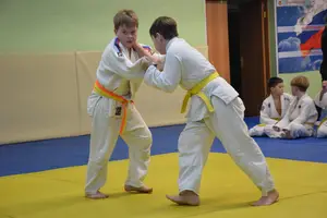 Первенство "Упрощенное дзюдо и самбо» 2015 г.р.