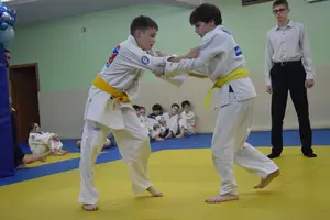 Первенство "Упрощенное дзюдо и самбо» 2015 г.р.